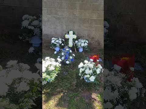 Angel🥀 🩶🕊Mio🥹