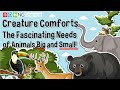 Animal Survival and Basic Needs