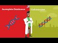 Understanding Incomplete Dominance and Codominance