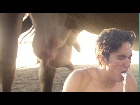 milk boys