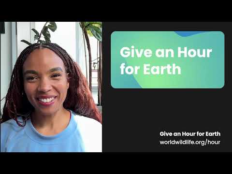 Earth Day Meditation with Dr. Chelsea Jackson Roberts