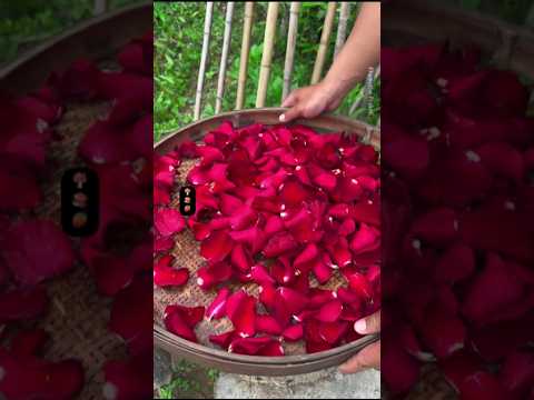 🌻 Natural Rose Lipstick 💄 শীতে ঠোঁটের নরম যত্ন 🌸 #shorts