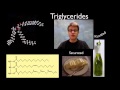 Understanding Lipids