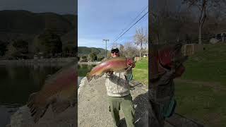 10lb rainbow trout