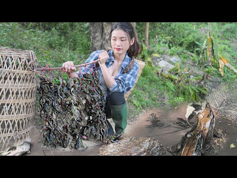 Encountered the nests of hundreds of wild frogs - Harvested and dried