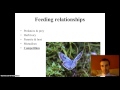 Ecosystem Dynamics and Species Interactions