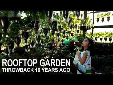 OUR ROOFTOP GARDEN 10 YEARS AGO