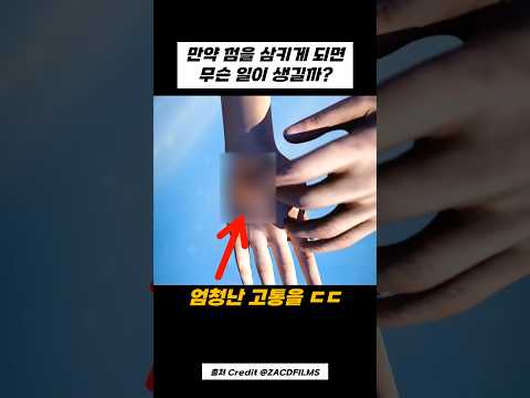 껌을 절대로 삼키면 안 되는 이유