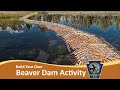 Beaver Dams and Their Functions