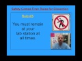 Dissection Safety Rules and Guidelines