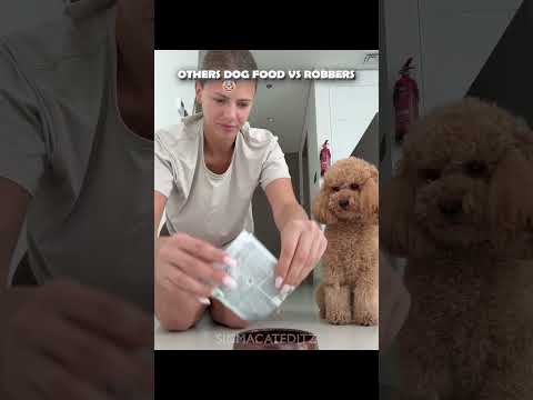 Others dog food vs robbers☠️ #edit #troll #trollface #usa #dog