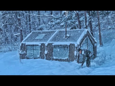 Best Winter Camping in Heavy Snow with My Dog . Binge Watching ASMR
