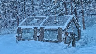 Best Winter Camping in Heavy Snow with My Dog . Binge Watching ASMR