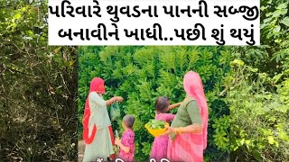 પરિવારે થુવડના પાનની સબ્જી બનાવીને બનાવીને ખાધી પછી શું થયું