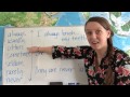Frequency Adverbs in English Grammar