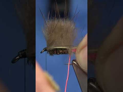 The Yeti a Tasmanian Fly SHORT #fishing #chileflyfishing #fishingfly #flyfishing #insects #outdoors