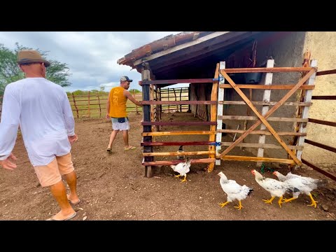 SERTÃO CAIPIRA - ENTRE CAVALOS, CURRAL RÚSTICO E GALINHAS