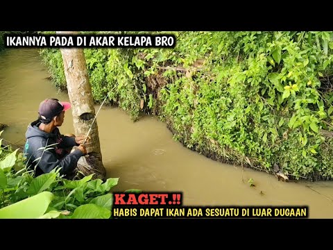 LAGI ASIK MANCING NILEM SESUATU TAK TERDUGA MENGHAMPIRI