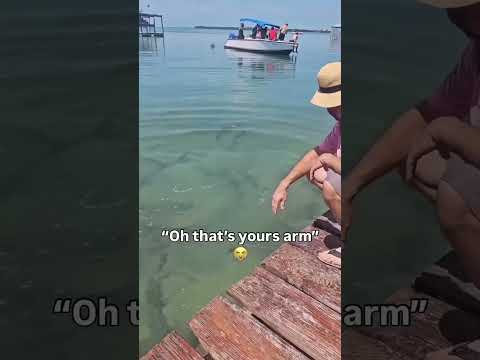 Fish have big power😱😱#fish #foryou #fyp #funny #funnyanimals #foryoupage #funnyvideo