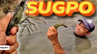 P1 - Pangangapa ng Sugpo - EP1964