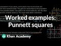 Mastering Punnett Squares and Genetic Variation