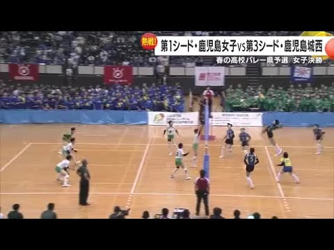 【春高バレー】鹿児島県予選決勝　女子・鹿児島城西、男子・川内商工が優勝 (25/11/03 18:46)