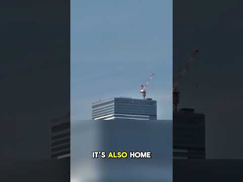 “This Tiny Country Powers the World! 😱💻”