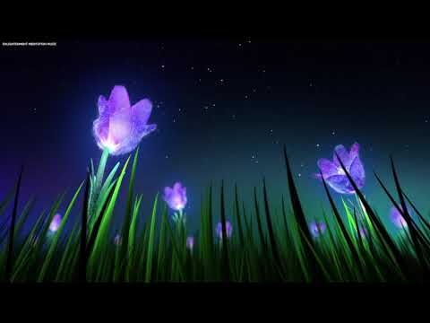 Relaxing Sleep Music with Soft Crickets & Nature Sounds • Piano Sleeping Music to Fall Asleep to