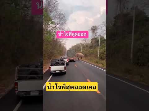 #น้ำใจพี่สุดยอดเลย #ถ้าไม่มีพี่#พี่ใหญ่ขวางทางแน่นอน#news