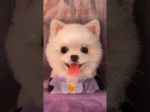 Fortunately, she finally respected the child’s choice? #portrait #petlover #3dglasspainting
