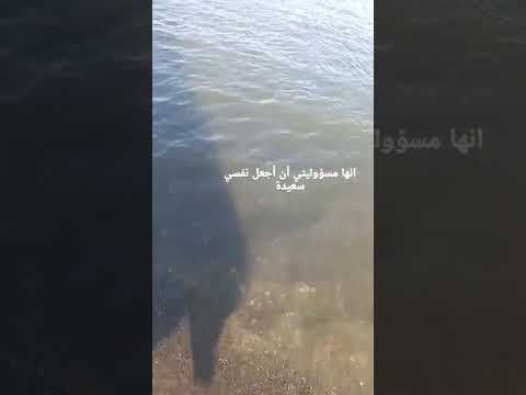 #اليسا #إليسا #اليسا_الجديد #elisabeth #ستوريات ##بنات #صبايا #عبارات #بحر #اكسبلور #shorts #deniz