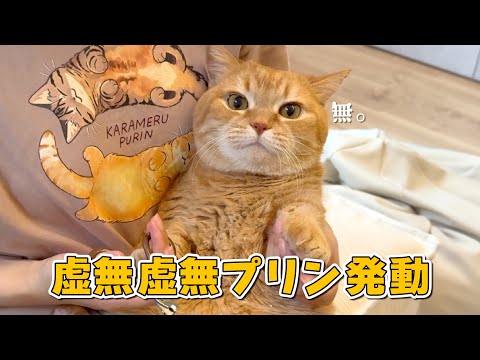 大嫌いな爪切りを乗り切る新技を身につけた猫がすごすぎた！w