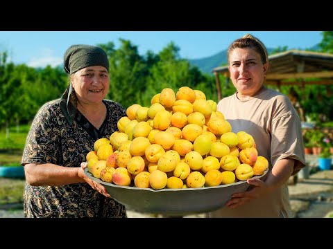 How We Use Apricots in the Village – Grandma’s Jam, Pickles & More 🍑👵
