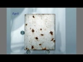 Rusting of Metals Experiment Analysis