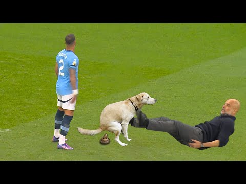 Comedy Moments in Football