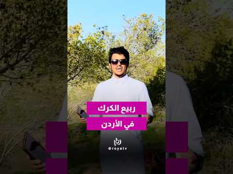 من كلمة بسيطة… بلشت الحكاية 🌿دعوة صغيرة كانت كفيلة تفرجي الناس ربيع الكرك بجماله الحقيقي 💕