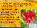 Genetics Concepts and Principles