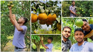 নার্সারিতে গিয়ে আজ অনেকগুলি গাছ আনলাম||Village Life||