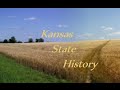 Kansas Referendum and Political Dynamics