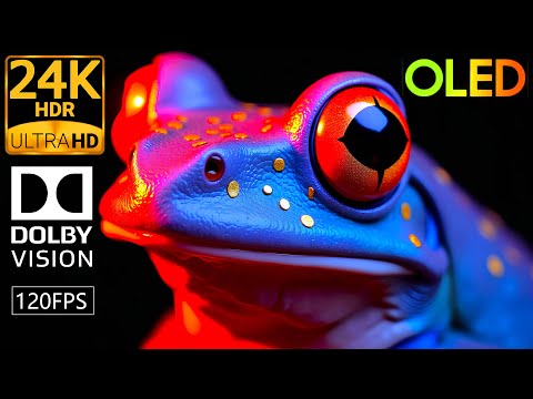 Crystal Depths: Animals in 24K HDR 120FPS Dolby Vision