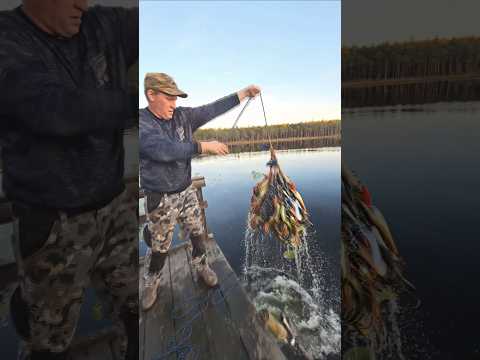 Yes! That's true! My wife and I threw a magnet into the lake and pulled out a lot of things.