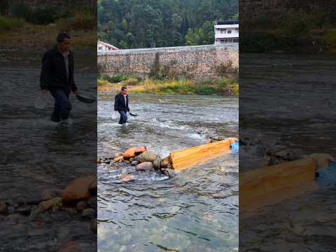Bendungan Kayu Untuk Menjebak Ikan #halmenarik