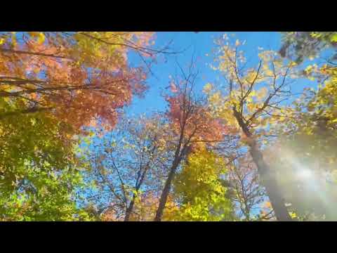 阿崗昆省立公園