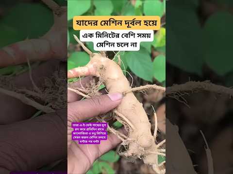 #plantsofindia #plants #shortvideo#gardenplants #garden การตอนมะละกอ โดยไม่ใช้ดิน ไม่ใช้ แกลบ.