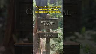 Tips for visiting Muir Woods National Monument, CA #redwoods #nature #muirwoods #bayarea