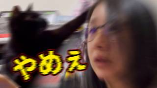 動画編集の過酷な現場を隠さすお届けします。