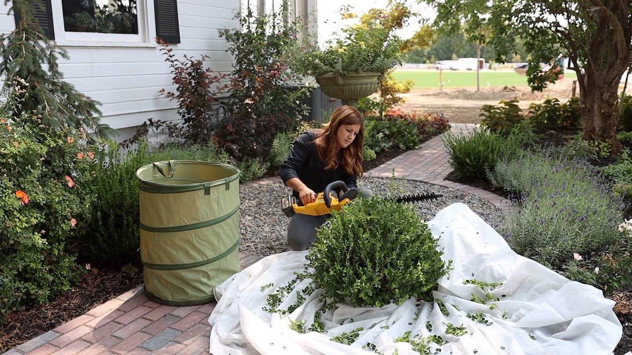 How We Maintain the Garden by Using Zones! Monday Zone!