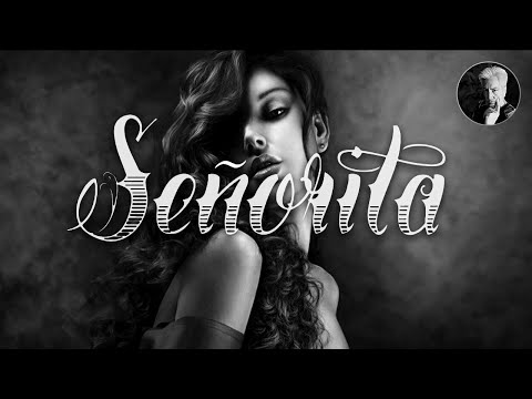 Señorita | Shawn Mendes Karaoke (For female singer)
