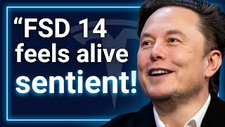 Elon Musk Just Changed Everything