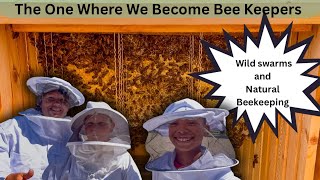 The Zimmermans Become Bee Keepers; First Check of the Hive